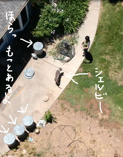 2018-06-10-dron9