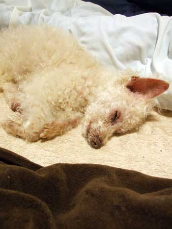 2015-06-25-starbucks3