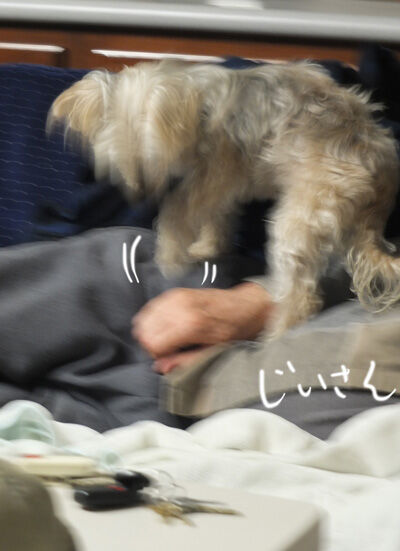 2021-05-12-rasta2