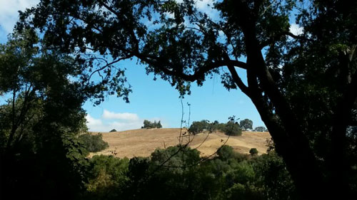 2016-09-14-rancho1