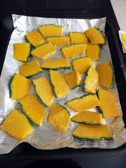 2025-11-18-kabocha2