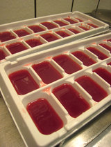 2010_03_31_ice