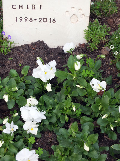 2018-01-21-ohaka1