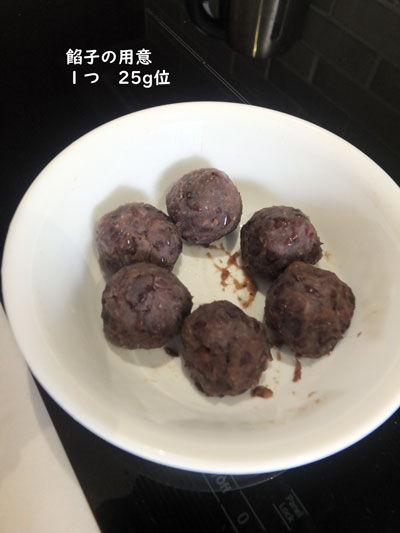 2019-01-21-manju6