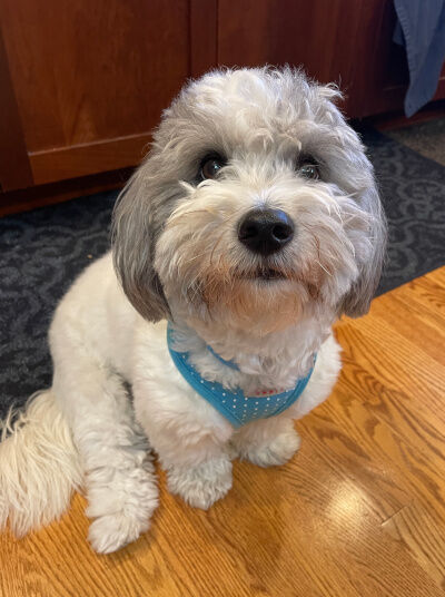 2025-07-30-charlie