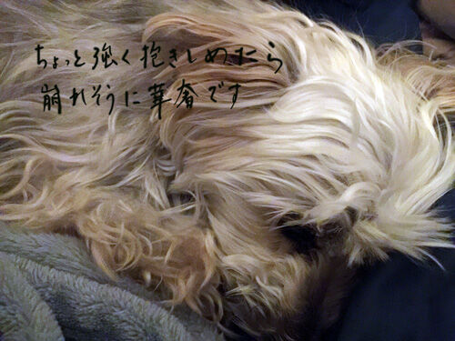 2021-05-28-rasta1