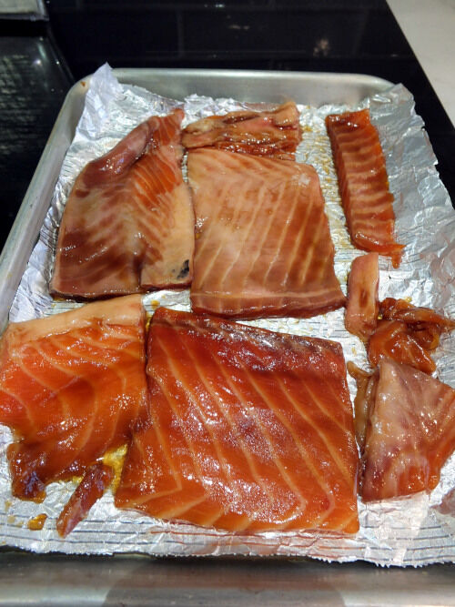 2025-12-28-salmon3