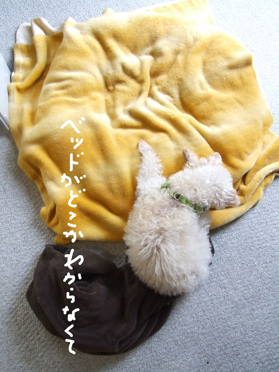 2017-09-28-chibi1