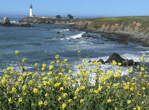 2026-02-07-halfmoonbay