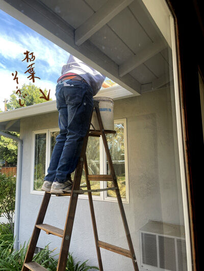 2022-12-12-cleanup1
