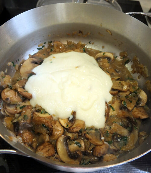 2025-12-02-mushroom4