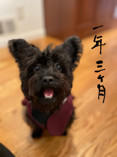 2025-01-17-kiki2