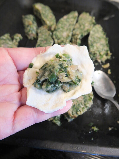 2023-06-15-gyoza2
