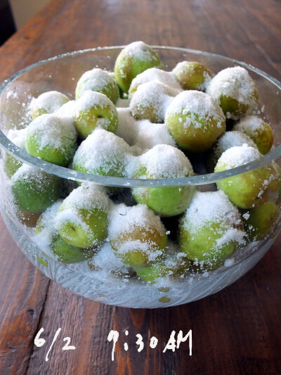 2025-06-05-umeboshi4
