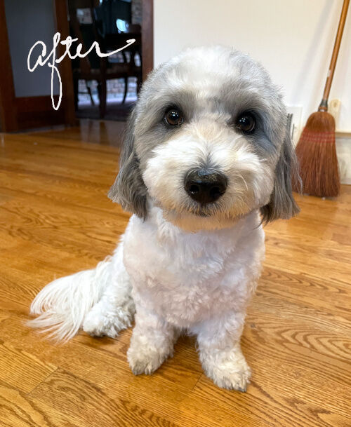 2026-09-28-charlie2