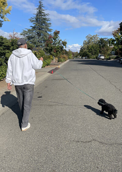 2023-10-03-walk1