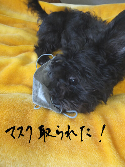 2025-03-15-kiki