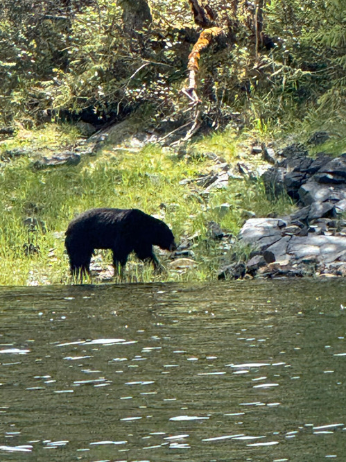 2025-06-11-alaska4