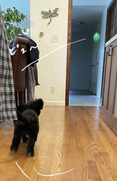 2021-12-15-oreo2