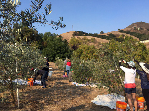 2019-11-07-farm3
