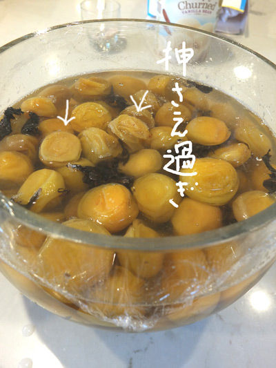 2019-07-02-umeboshi1