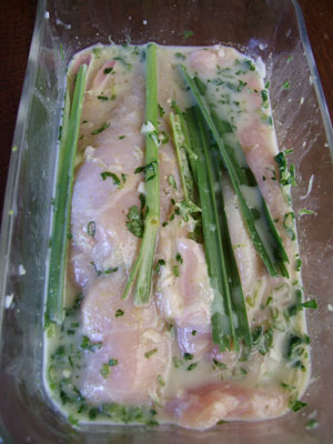 2013-08-16-marinade