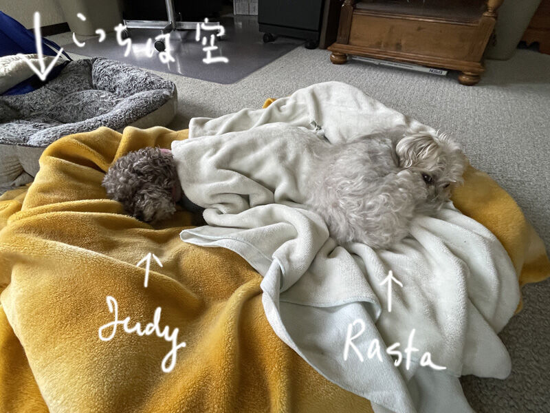 2023-01-02-judy1