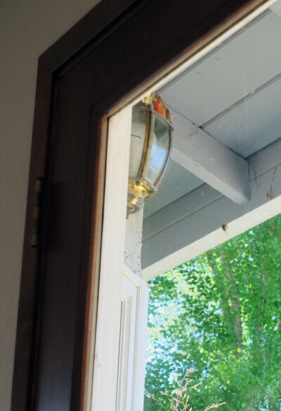 2021-05-20-nest3