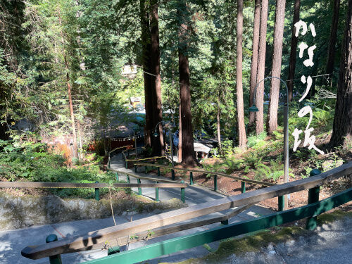 2025-07-24-mysteryspot4