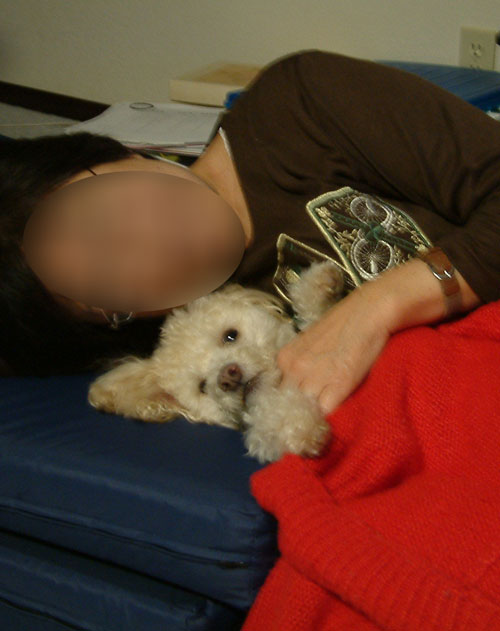 2017-01-10-chibi3
