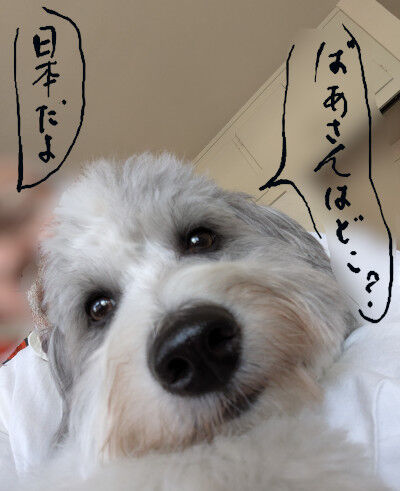 2025-06-26-charlie1