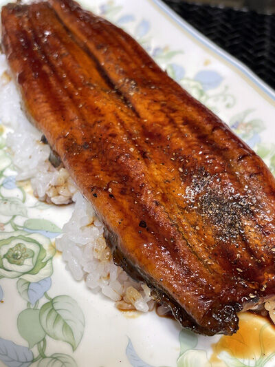 2024-04-20-unagi1