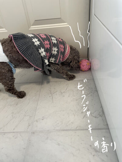 2023-01-03-judy2