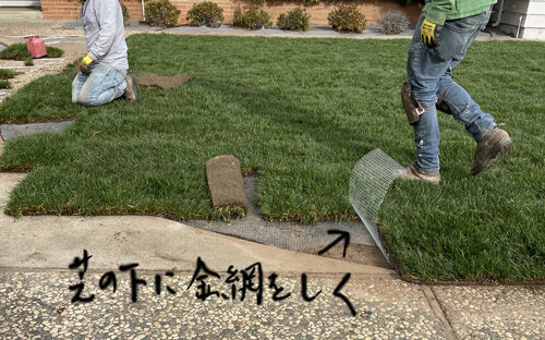 2024-01-13-gopher2