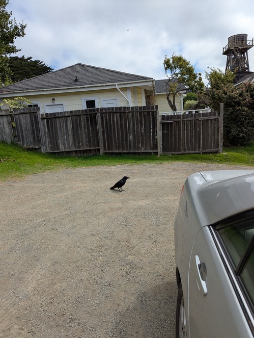 2025-09-03-mendocino (5)