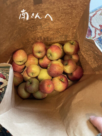 2023-11-19-apples2
