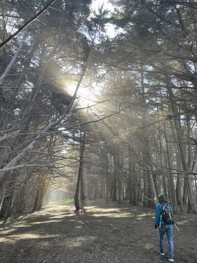 2026-03-01-halfmoonbay4