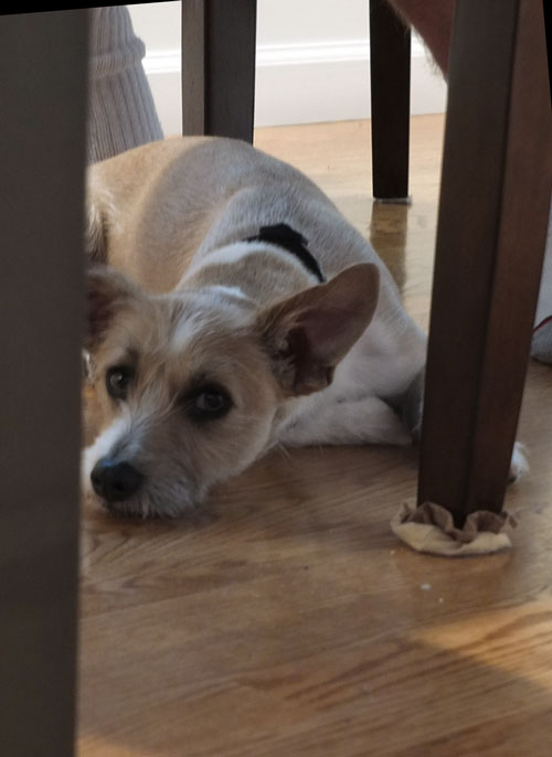 2018-12-06-chip