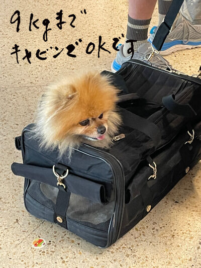 2025-08-07-departure6