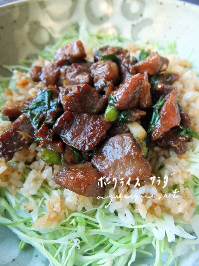 2023-10-02-porksalad3