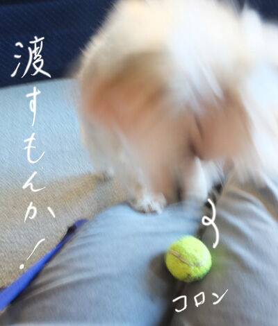 2020-12-06-rasta5