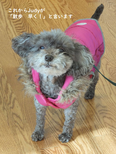 2019-12-26-judy1