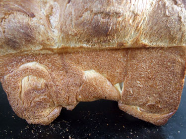 2010_04_27_bottom1
