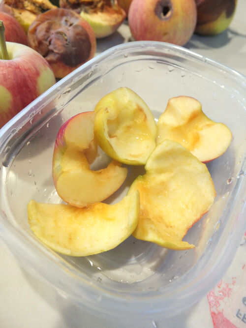 2026-10-25-apples2