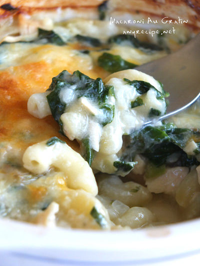 2019-03-15-macaroni2