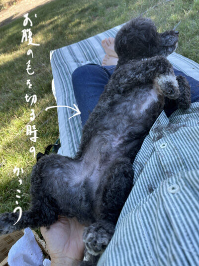 2024-06-19-oreo2
