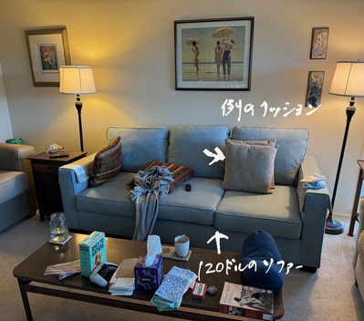 2026-06-03-sofa1