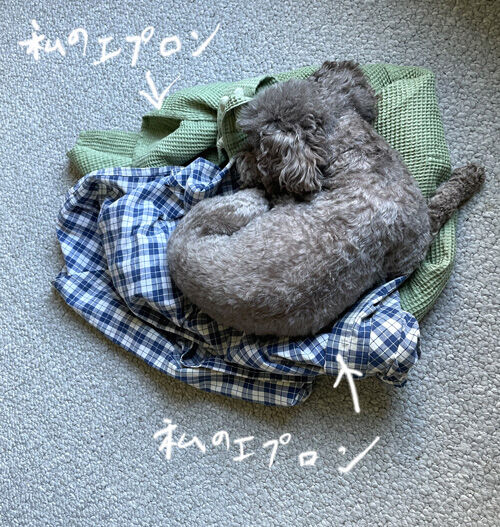 2021-12-23-judy1