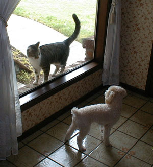 ����Ǥ����ä�ƨ������