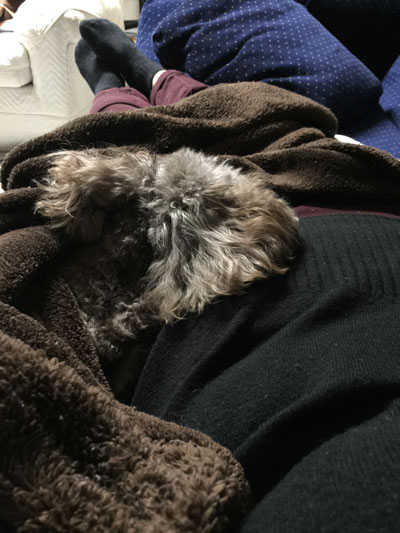 2019-12-19-judy3